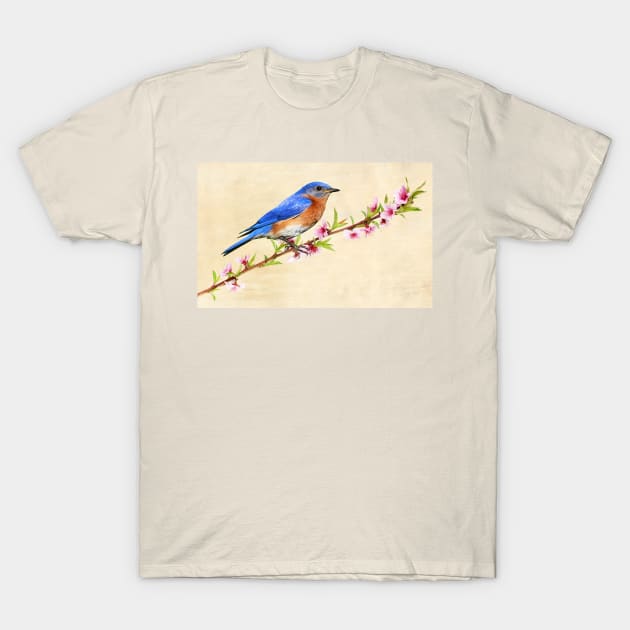 Male Bluebird in a Peach Tree T-Shirt by lauradyoung